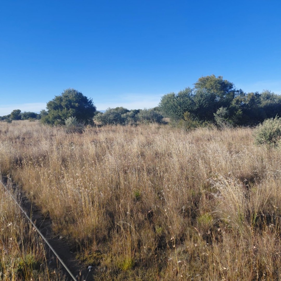 Commercial Property for Sale in Barkly West Rural Northern Cape